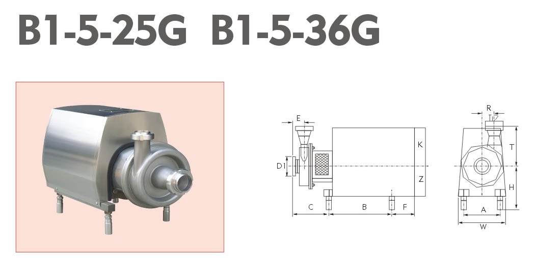 卫生离心泵B1-5-25G B1-5-36G
